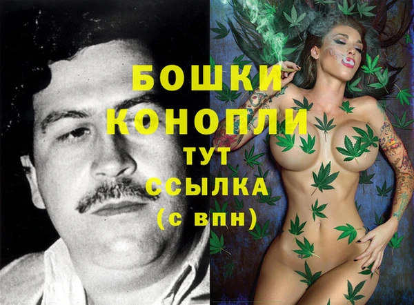 гашик Арсеньев