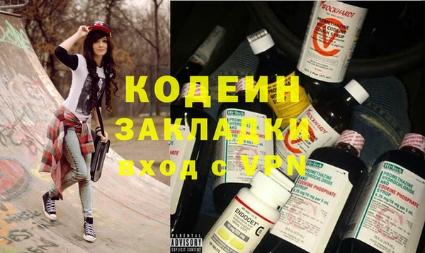гашик Арсеньев