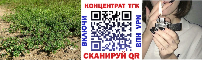 mega ONION  наркотики  Багратионовск  Дистиллят ТГК Wax 