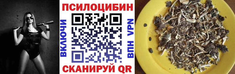 блэк спрут как зайти Багратионовск Галлюциногенные грибы MAGIC MUSHROOMS где найти